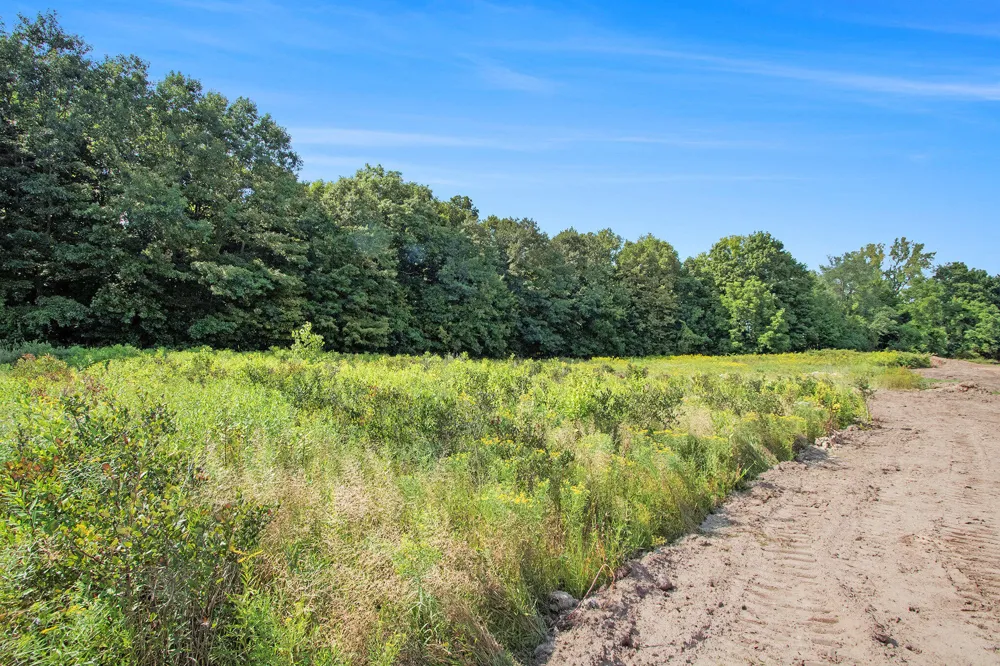 59385 Benny Court #Parcel 2 Grand Junction, MI 49056