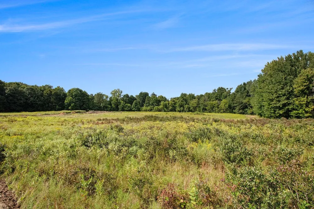 59314 Benny Court #Parcel 7 Grand Junction, MI 49056