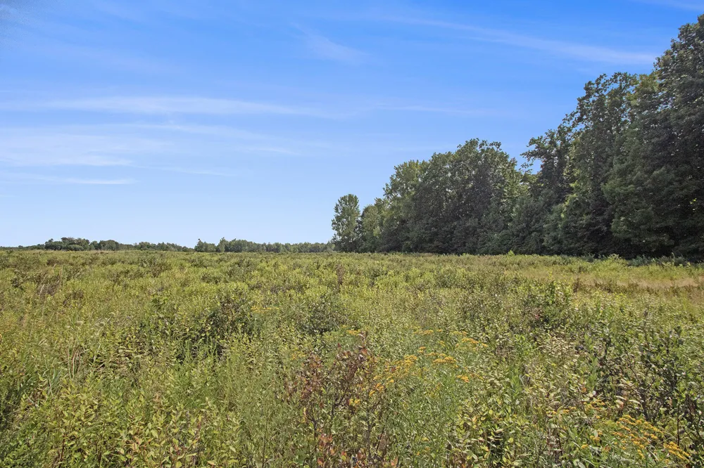 59237 Benny Court #Parcel 4 Grand Junction, MI 49056