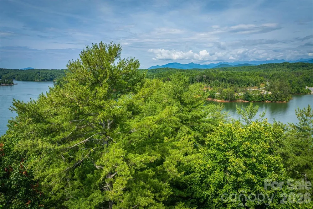 804 Marina Drive #2 Nebo, NC 28761