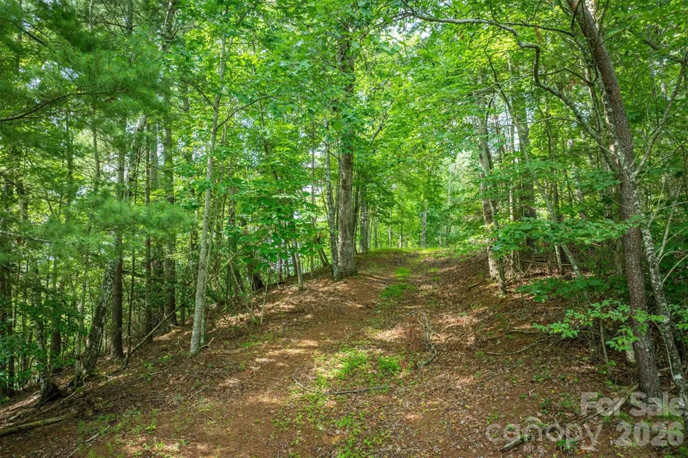 804 Marina Drive #2 Nebo, NC 28761