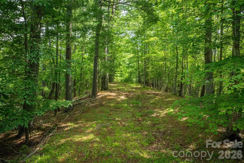 804 Marina Drive #2 Nebo, NC 28761