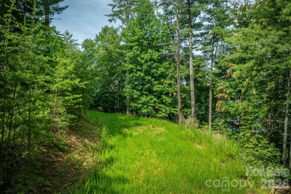 804 Marina Drive #2 Nebo, NC 28761