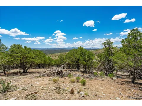 896 Shannon Trail