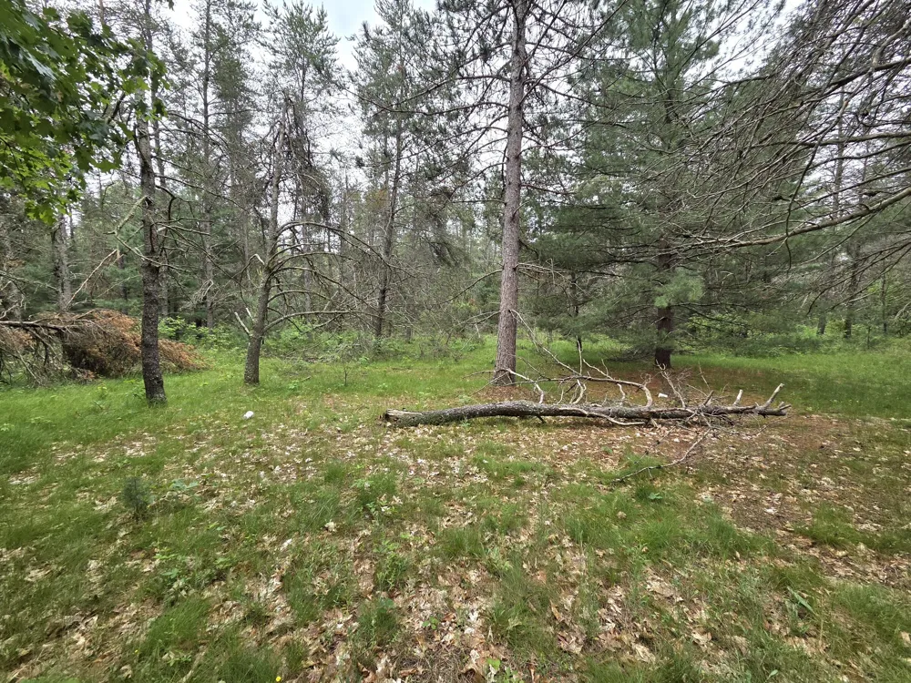 1909 W 16th Street Webber Township, MI 49304