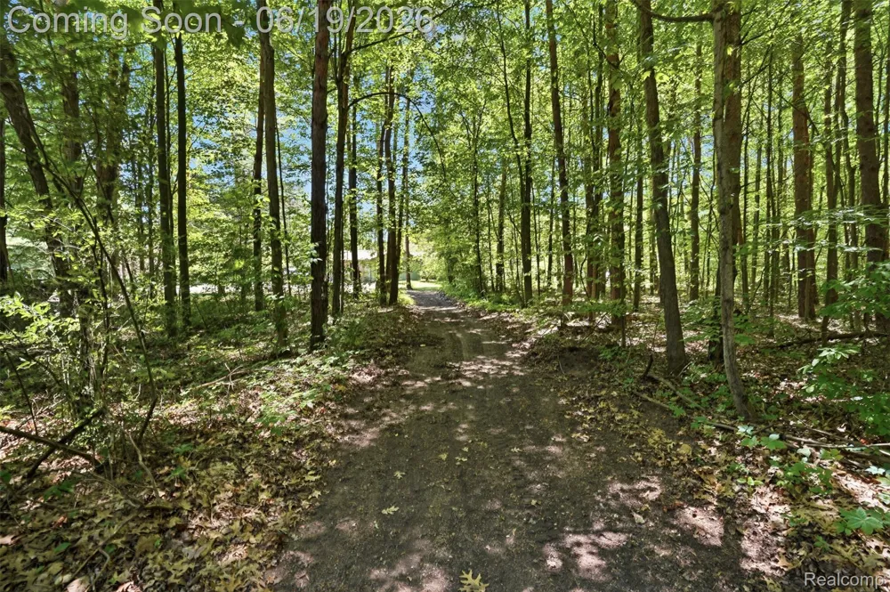 3167 Roods Lake Road Mayfield Township, MI 48446