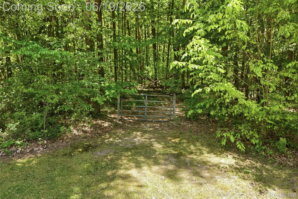 3167 Roods Lake Road Mayfield Township, MI 48446
