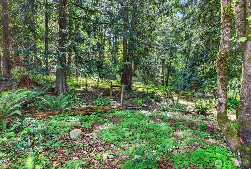 21005 197th Avenue E Orting, WA 98360