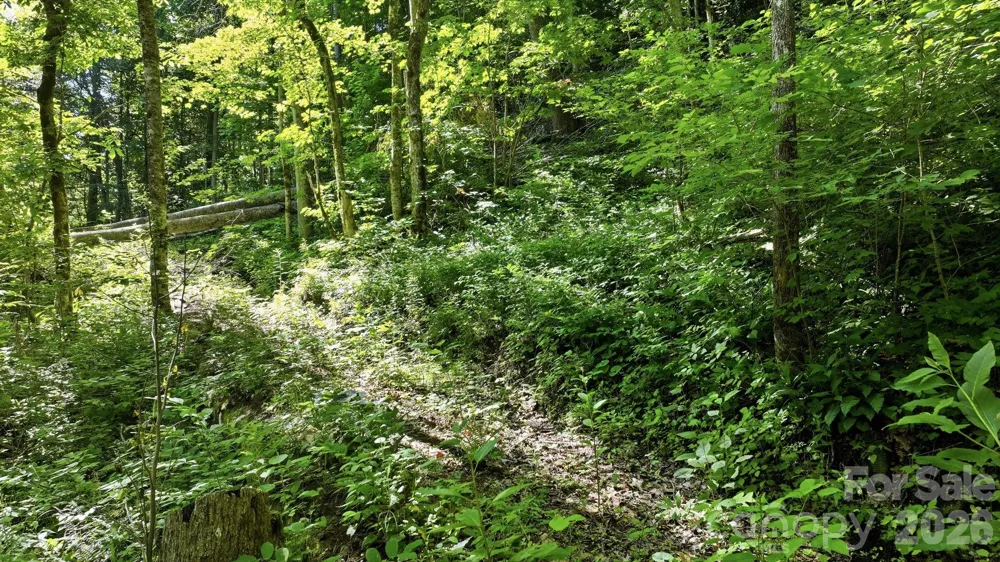 618 Dark Ridge Road Sylva, NC 28779