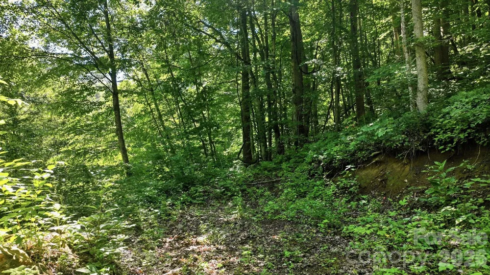 618 Dark Ridge Road Sylva, NC 28779