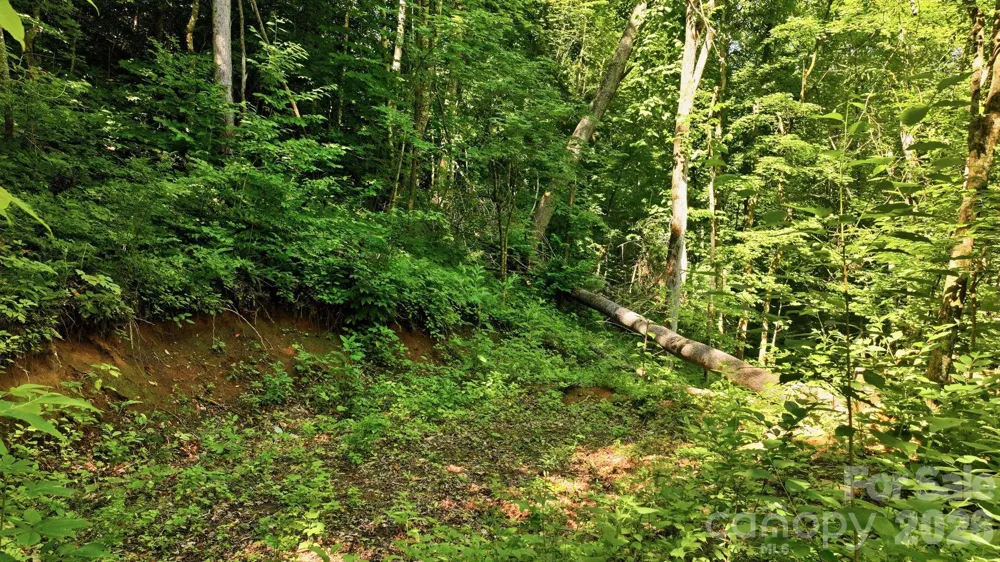 618 Dark Ridge Road Sylva, NC 28779