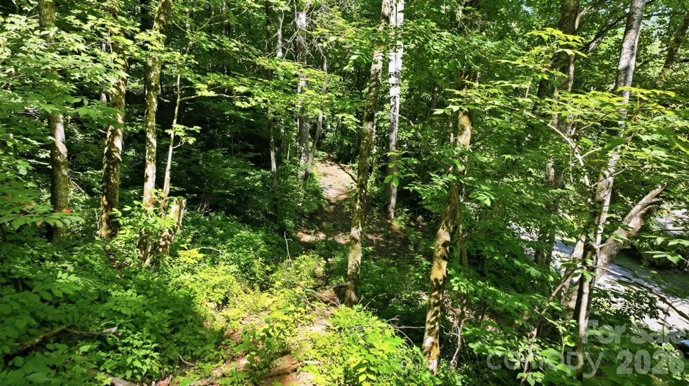 618 Dark Ridge Road Sylva, NC 28779