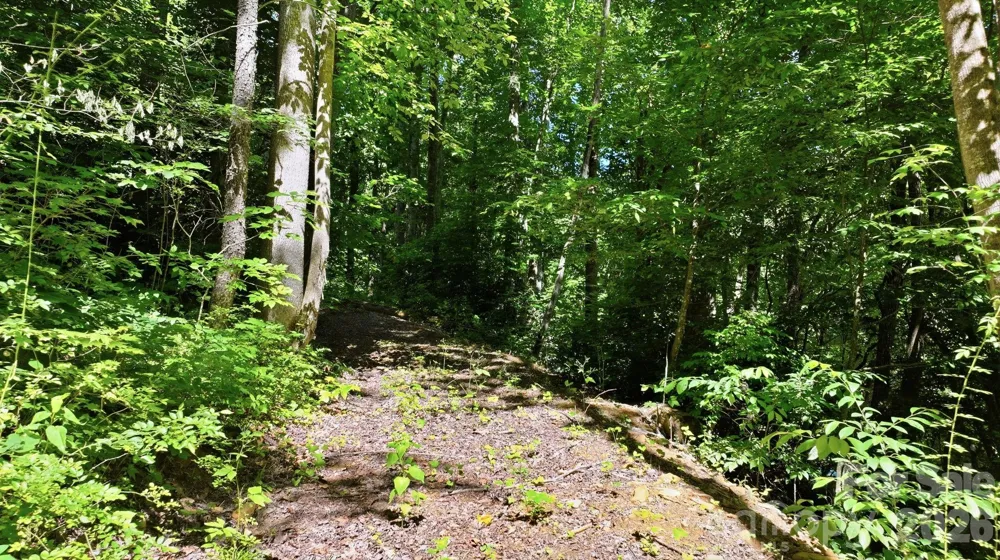 618 Dark Ridge Road Sylva, NC 28779