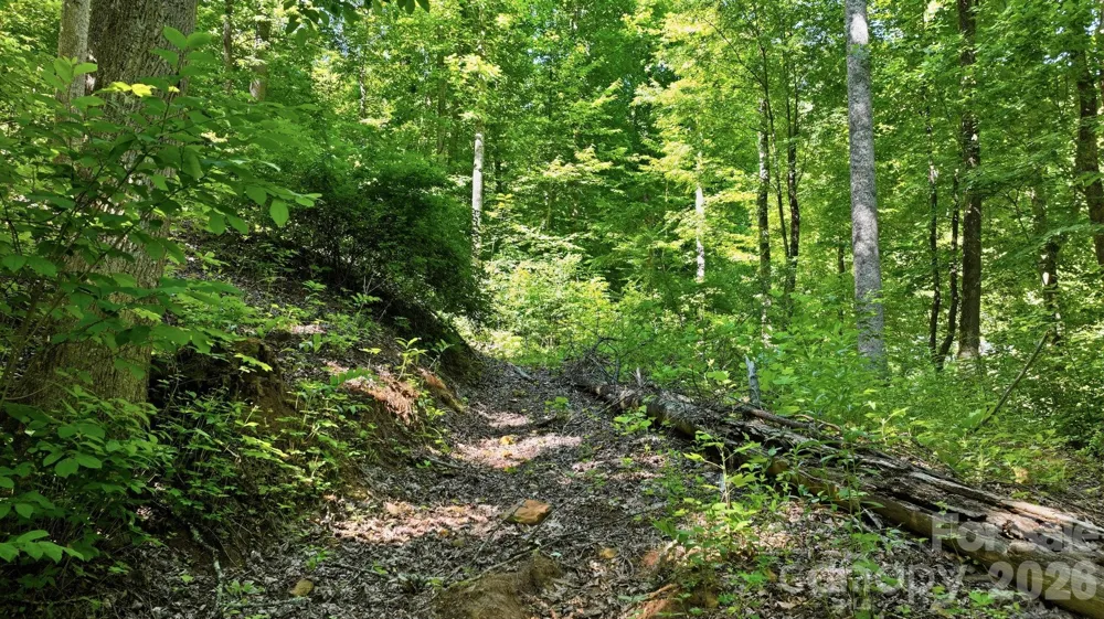 618 Dark Ridge Road Sylva, NC 28779