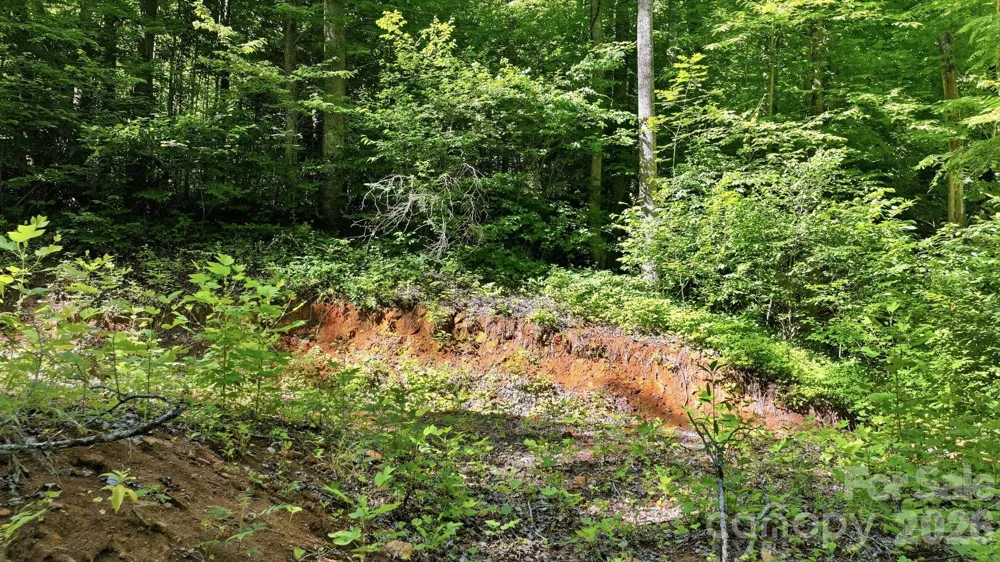 618 Dark Ridge Road Sylva, NC 28779
