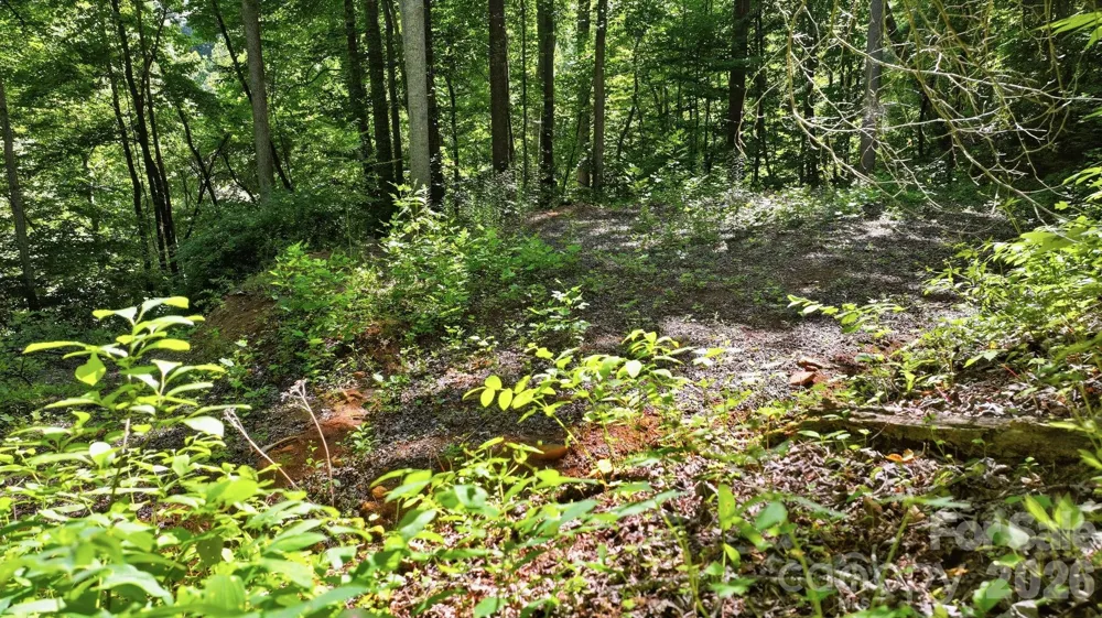 618 Dark Ridge Road Sylva, NC 28779