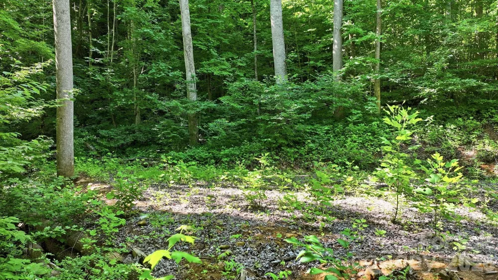 618 Dark Ridge Road Sylva, NC 28779