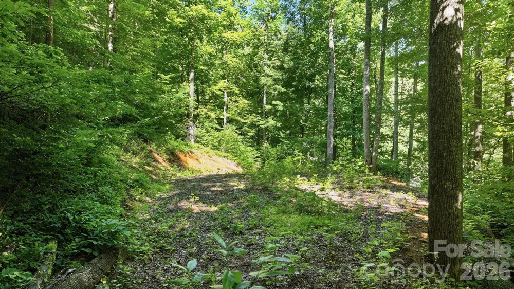 618 Dark Ridge Road Sylva, NC 28779