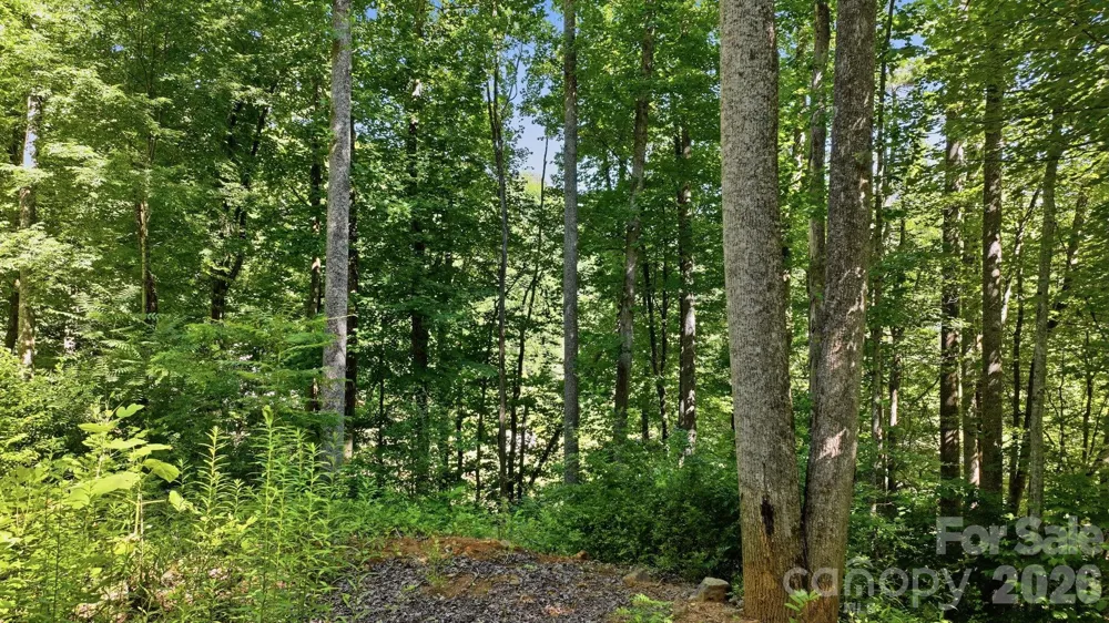 618 Dark Ridge Road Sylva, NC 28779
