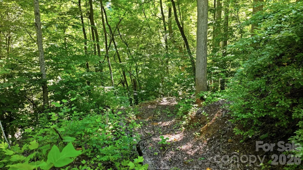 618 Dark Ridge Road Sylva, NC 28779