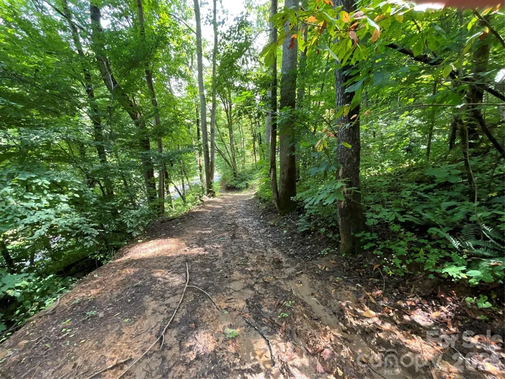 618 Dark Ridge Road Sylva, NC 28779