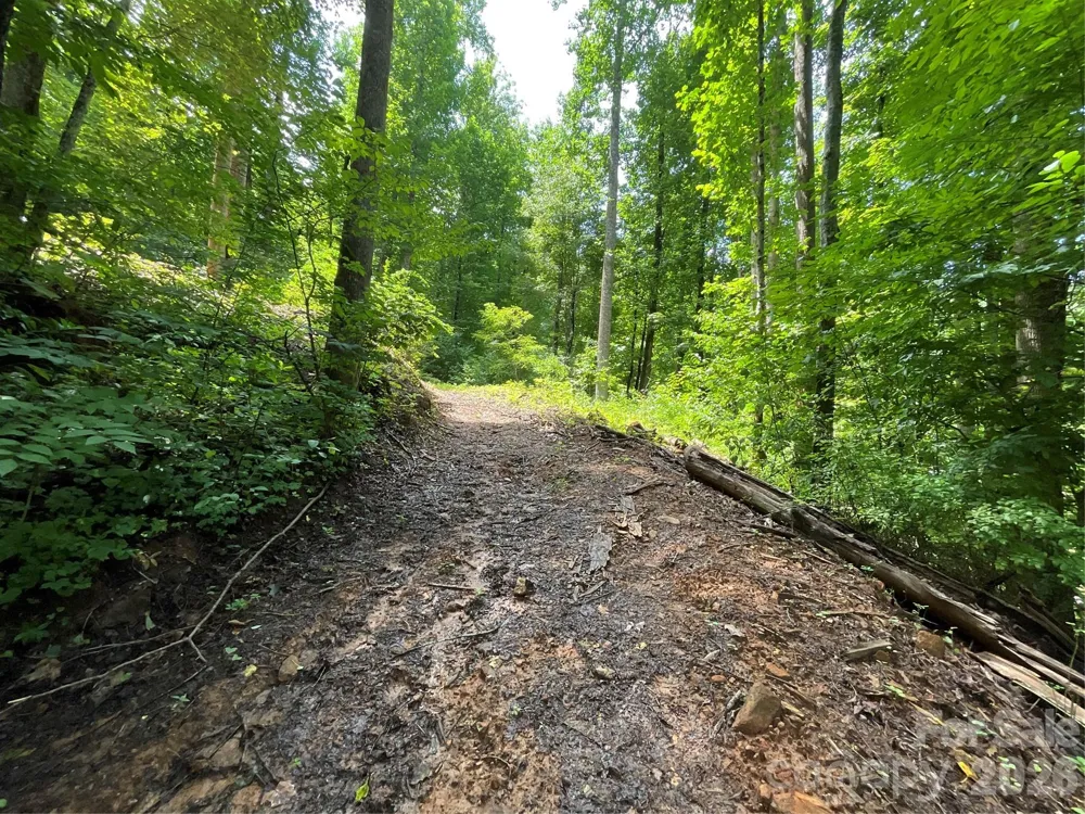 618 Dark Ridge Road Sylva, NC 28779