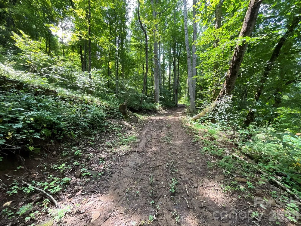 618 Dark Ridge Road Sylva, NC 28779