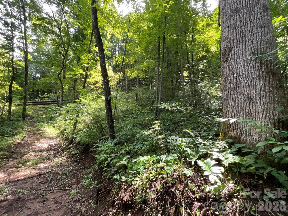 618 Dark Ridge Road Sylva, NC 28779
