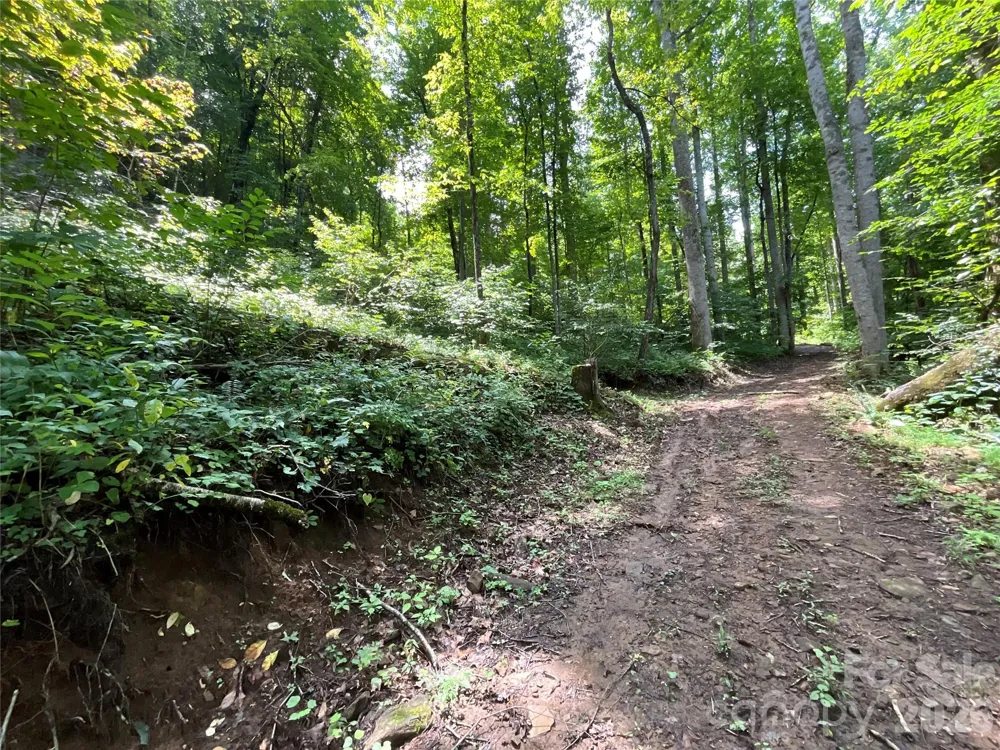 618 Dark Ridge Road Sylva, NC 28779