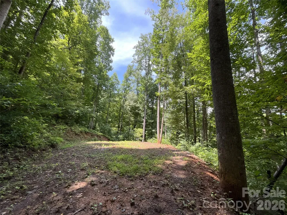 618 Dark Ridge Road Sylva, NC 28779