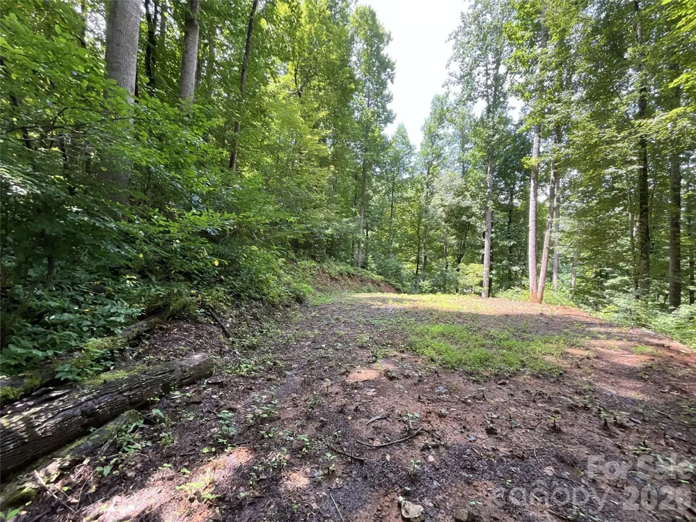 618 Dark Ridge Road Sylva, NC 28779