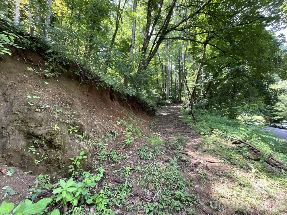 618 Dark Ridge Road Sylva, NC 28779