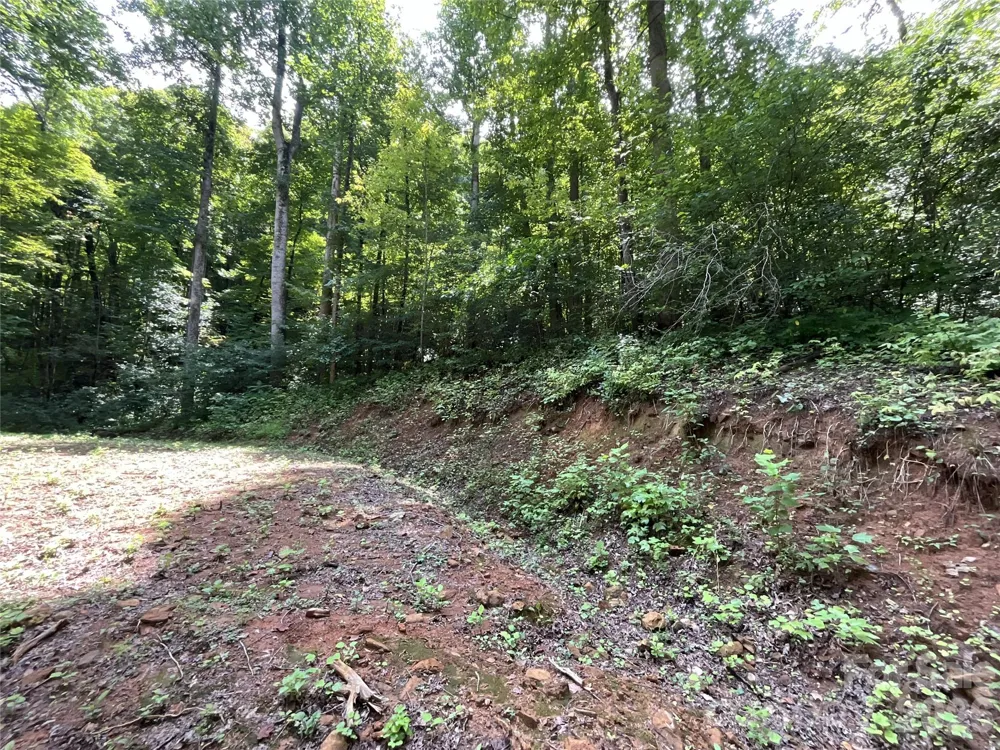 618 Dark Ridge Road Sylva, NC 28779