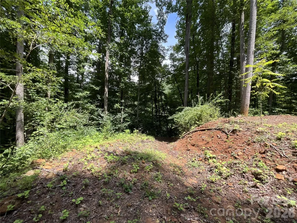 618 Dark Ridge Road Sylva, NC 28779