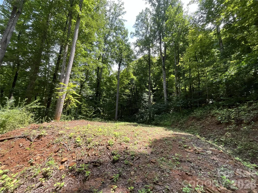 618 Dark Ridge Road Sylva, NC 28779