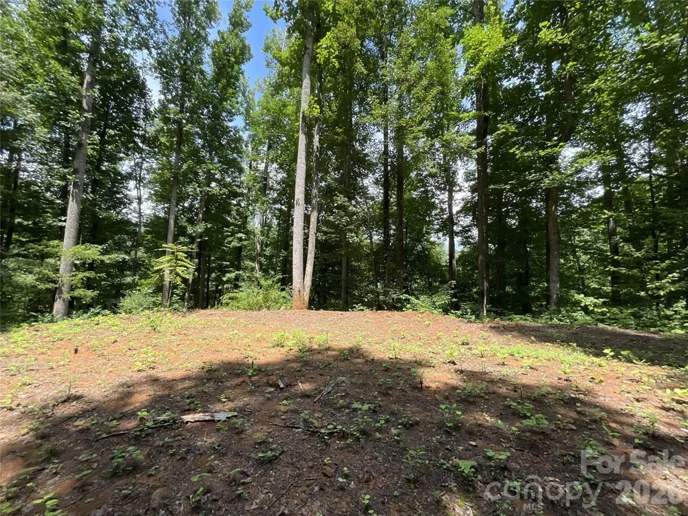 618 Dark Ridge Road Sylva, NC 28779