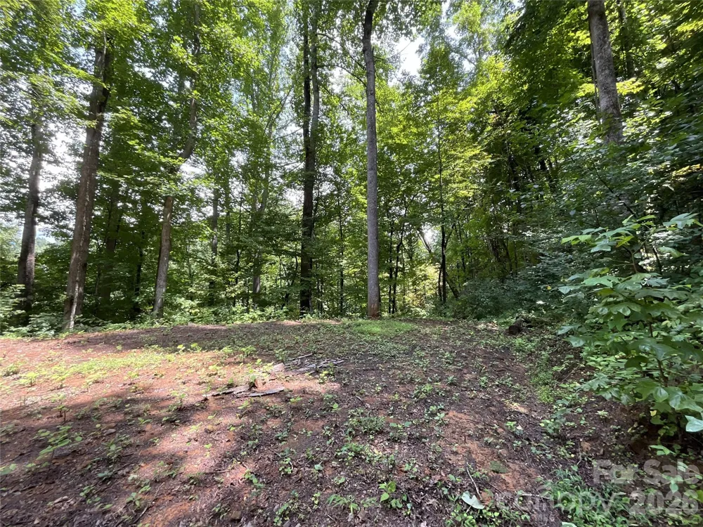 618 Dark Ridge Road Sylva, NC 28779