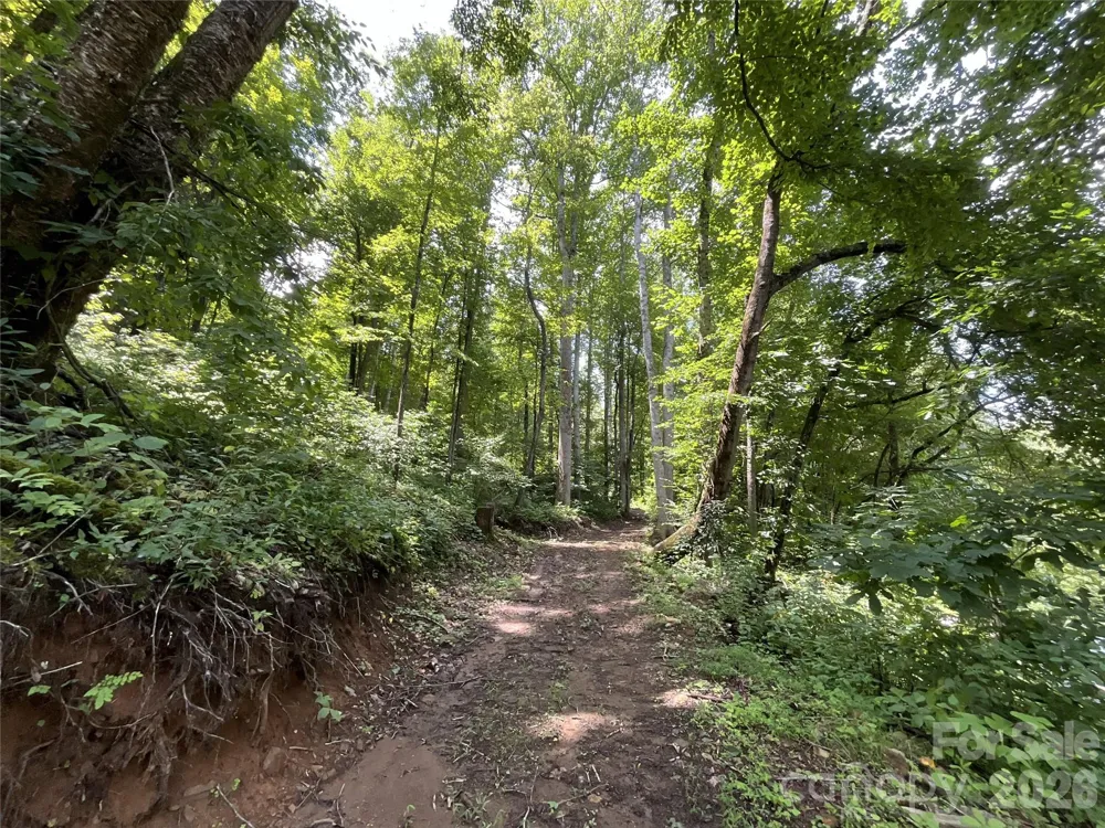 618 Dark Ridge Road Sylva, NC 28779