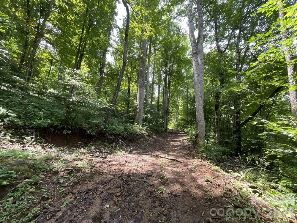 618 Dark Ridge Road Sylva, NC 28779