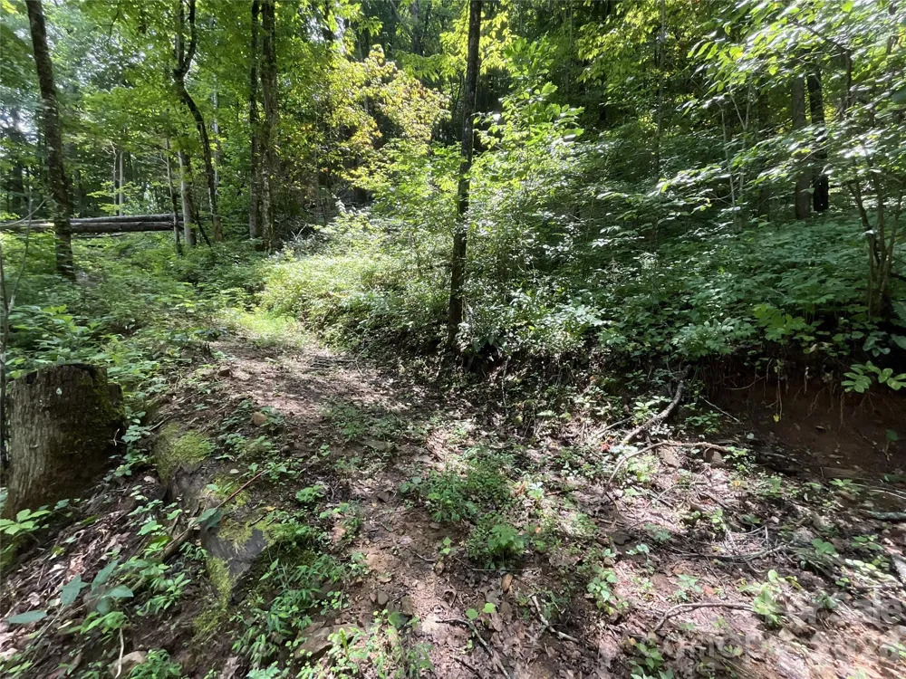 618 Dark Ridge Road Sylva, NC 28779