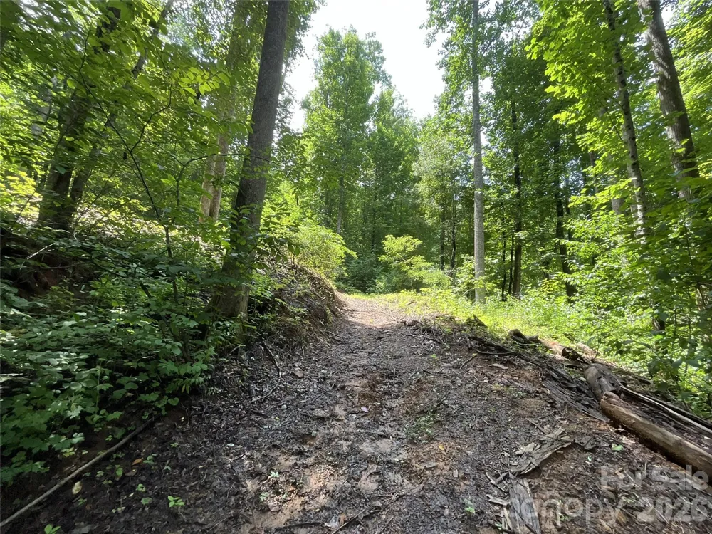 618 Dark Ridge Road Sylva, NC 28779