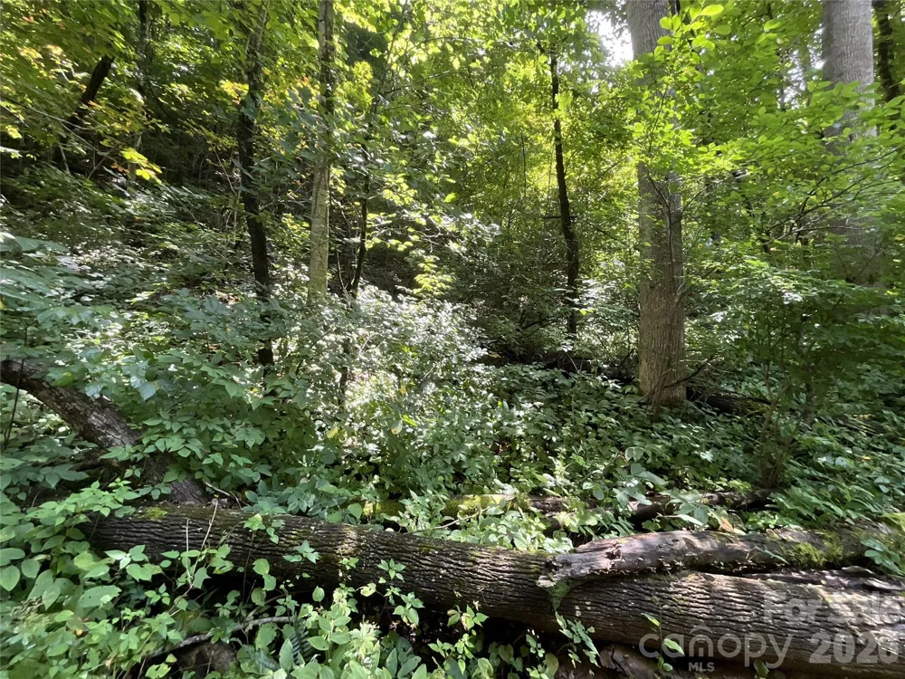 618 Dark Ridge Road Sylva, NC 28779