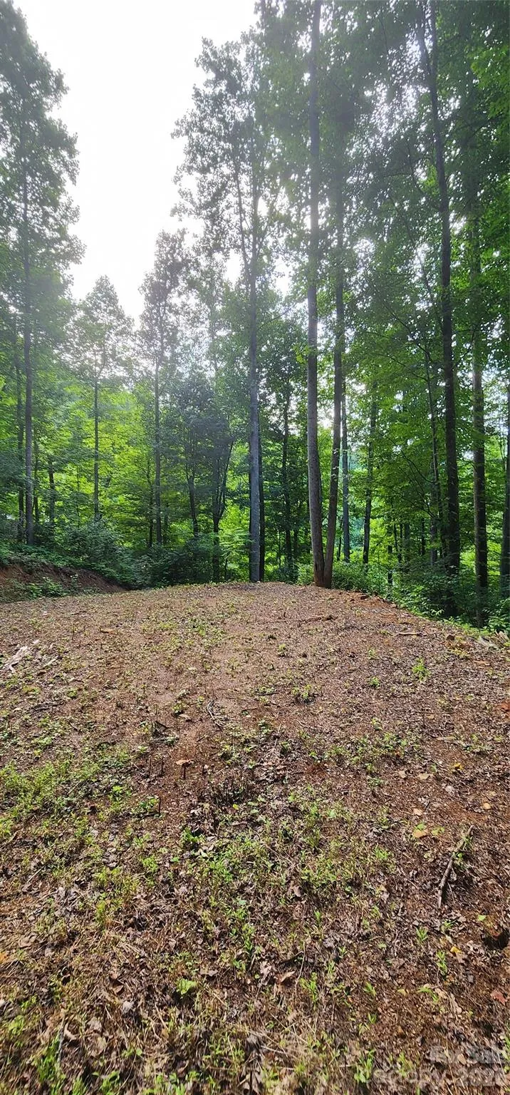 618 Dark Ridge Road Sylva, NC 28779