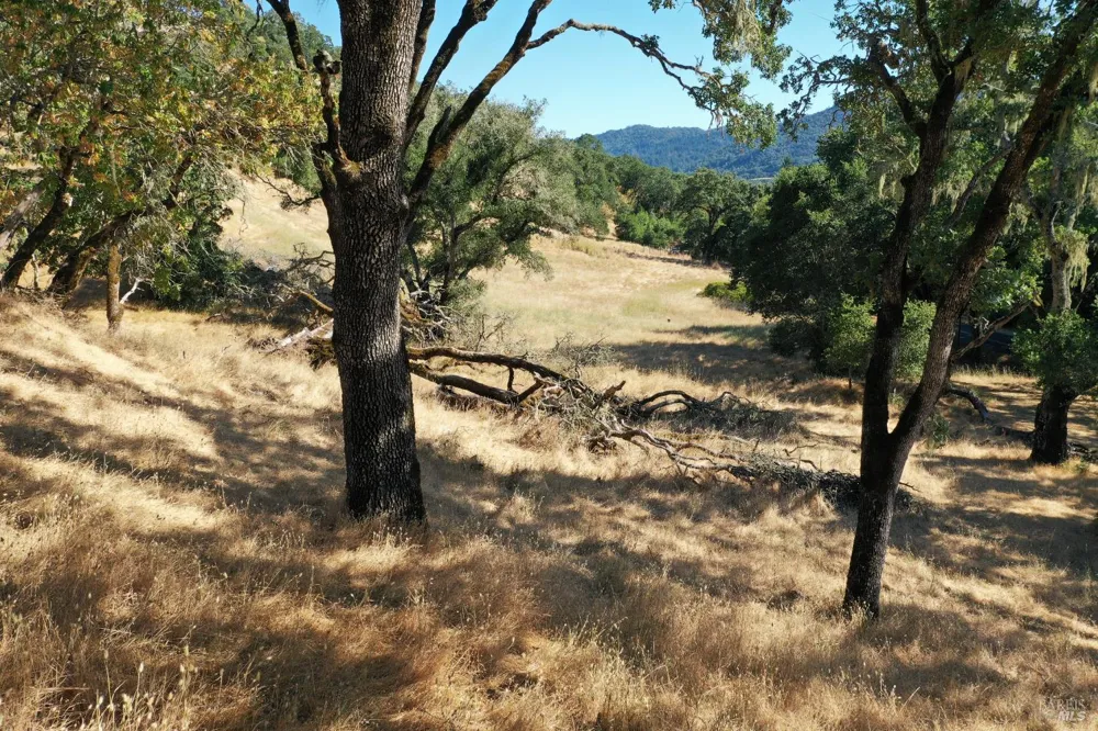 2100 Warm Springs Road Glen Ellen, CA 95442