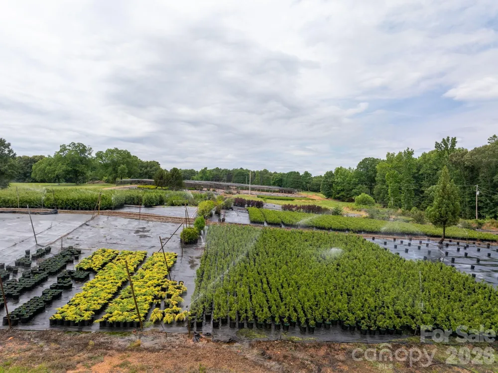 1350 Lee Cudd Road Rutherfordton, NC 28139