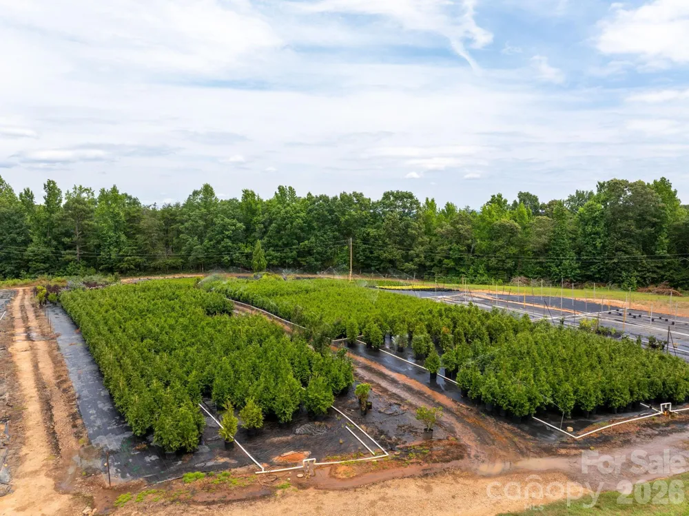 1350 Lee Cudd Road Rutherfordton, NC 28139
