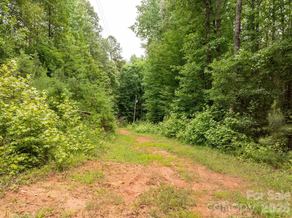 1350 Lee Cudd Road Rutherfordton, NC 28139
