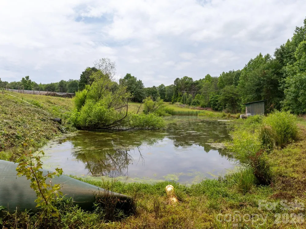 1350 Lee Cudd Road Rutherfordton, NC 28139