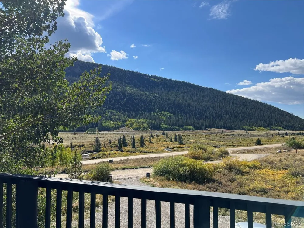 141 Quartzville Road Alma, CO 80420