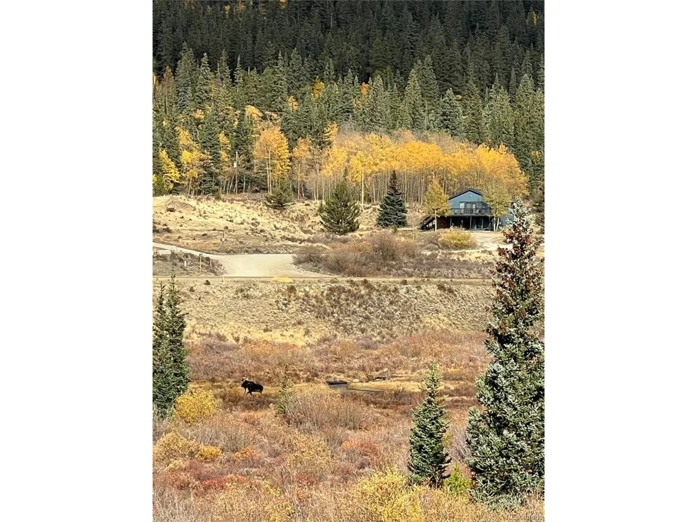 141 Quartzville Road Alma, CO 80420